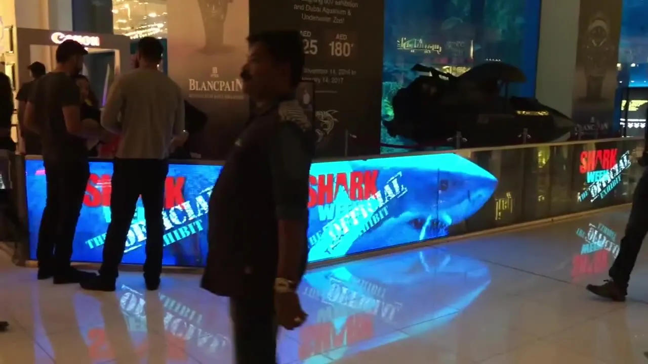 Transparent LED barrier at Dubai Aquarium