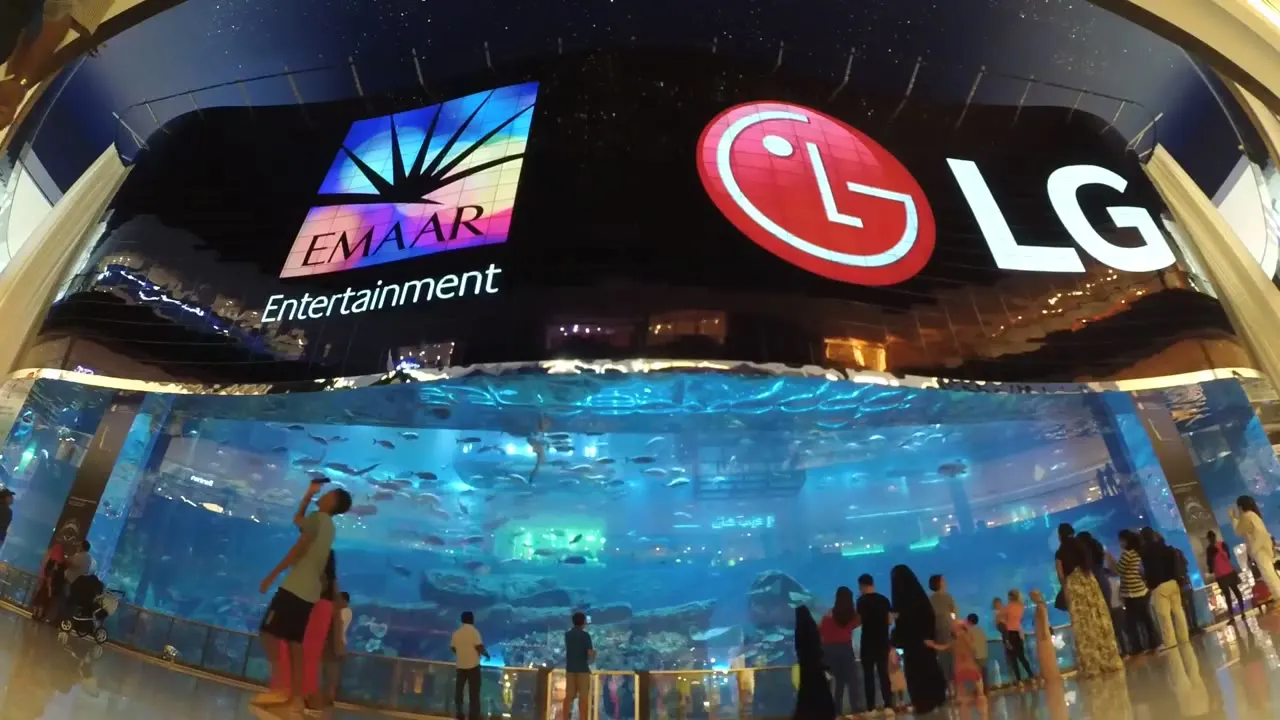 Triple Guinness World Record OLED wall at Dubai Mall Aquarium